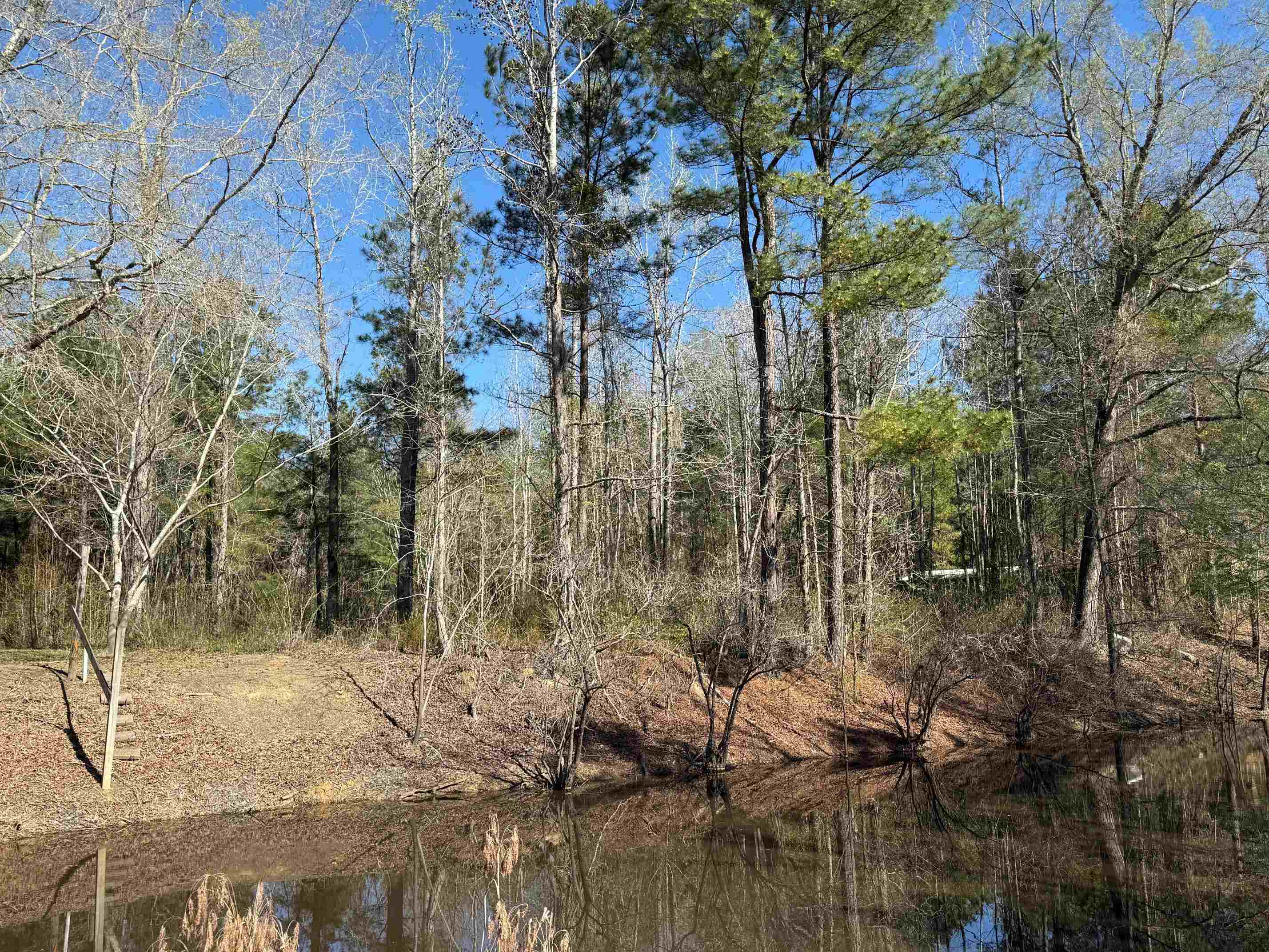 Tbd Locust Tree Court Gresham, SC 29546 - Photo 2 of 5