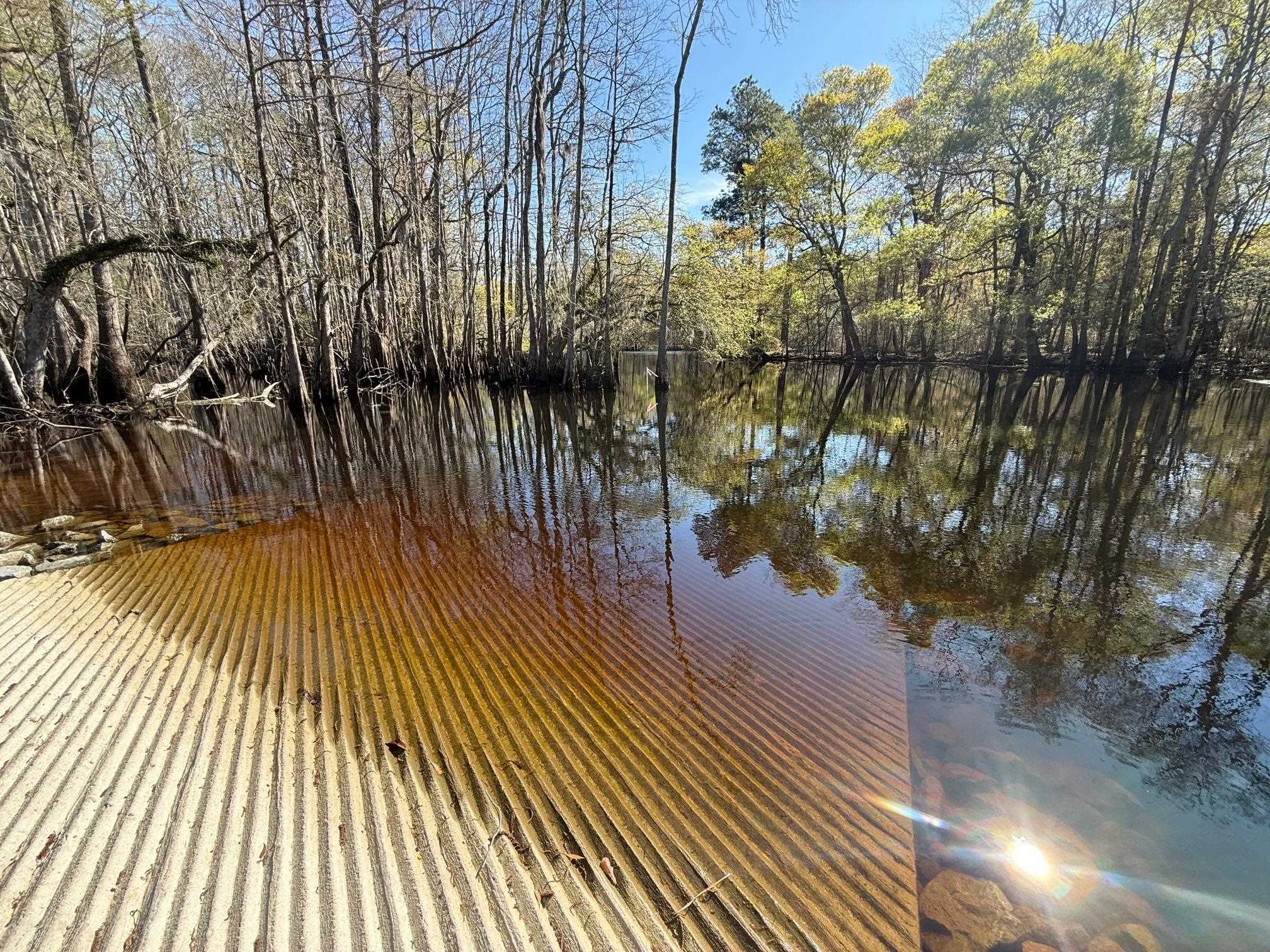 Tbd Locust Tree Court Gresham, SC 29546 - Photo 5 of 5