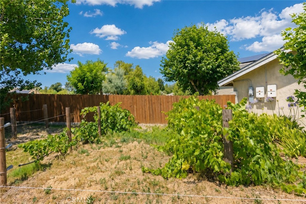 29420 Ynez Road Temecula, CA 92592 - Photo 73 of 81 Mini Vineyard