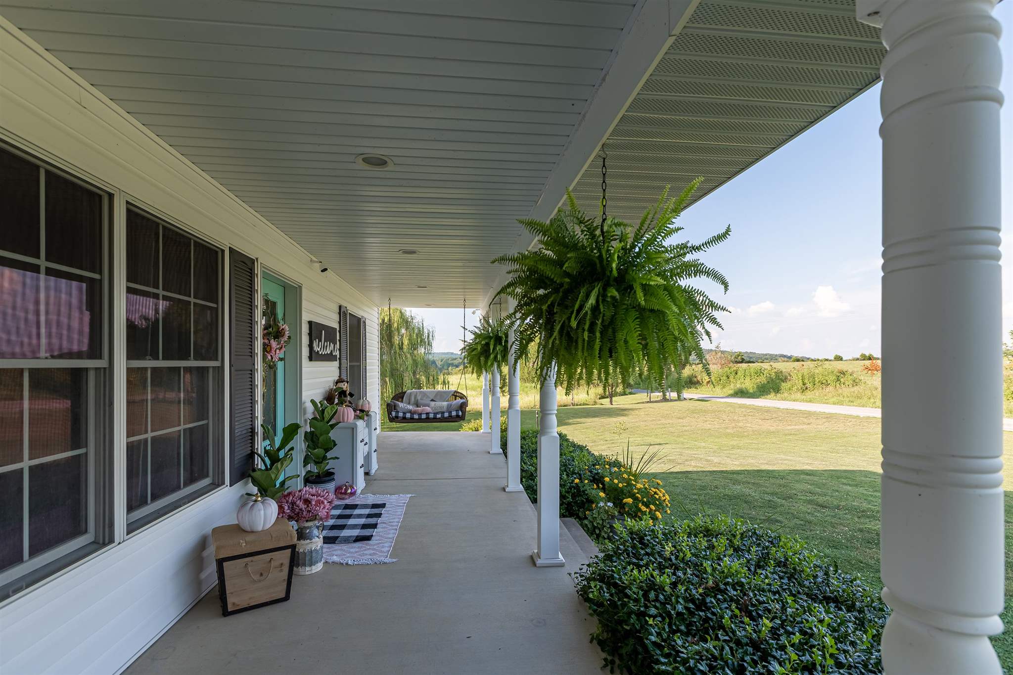 167 Coon Hunters Road Golconda, IL 62938 - Photo 6 of 48 Gallery Image 6