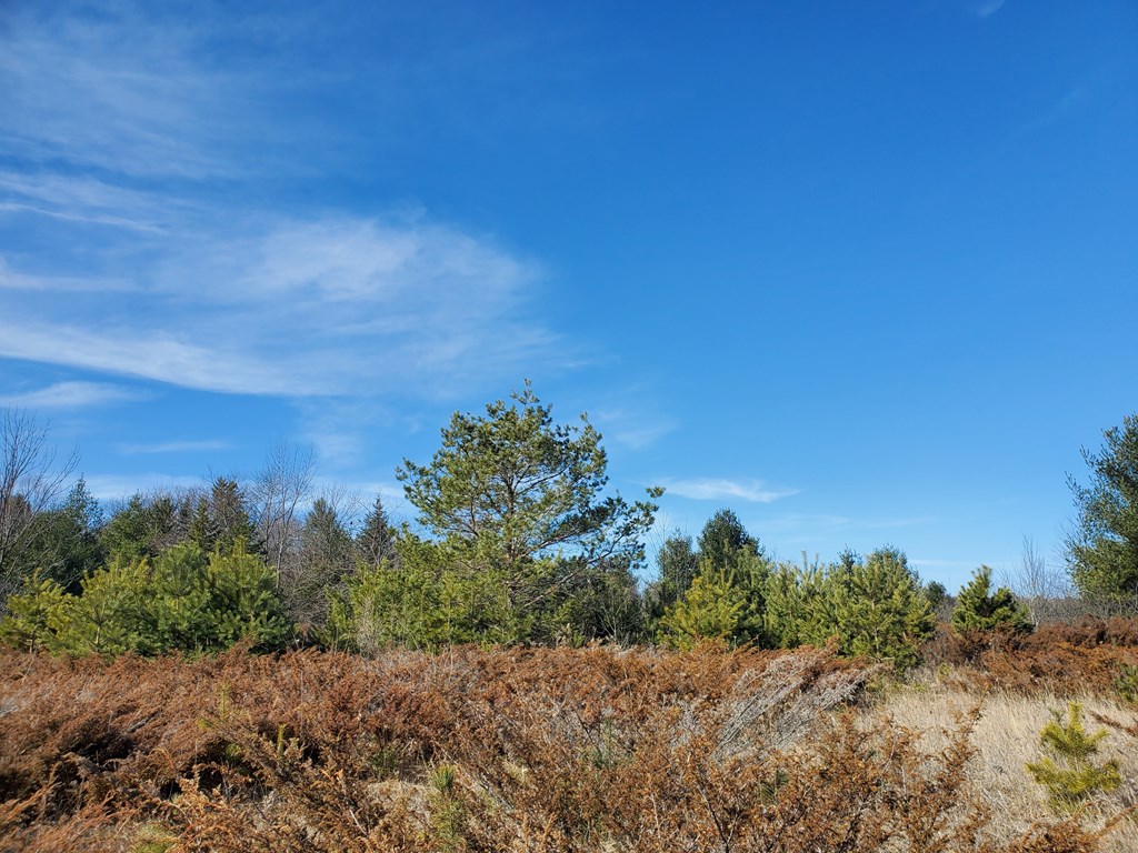 Lot 14 Timberline Road Ellison Bay, WI 54210 - Photo 7 of 9