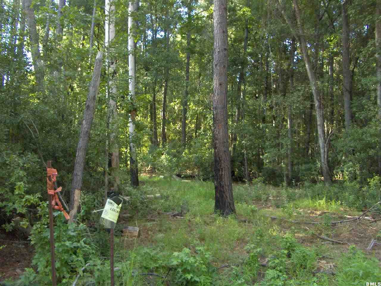 2501 Langfordville Road Ridgeland, SC 29936 - Photo 1 of 17 Primary Photo