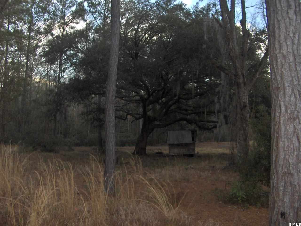 2501 Langfordville Road Ridgeland, SC 29936 - Photo 11 of 17 Additional Photo