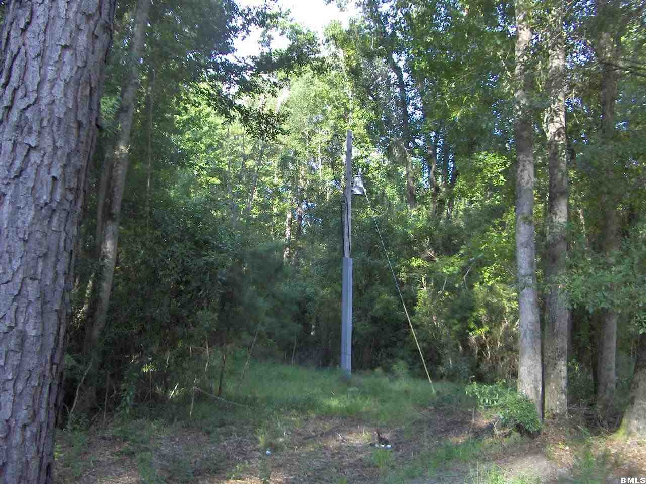 2501 Langfordville Road Ridgeland, SC 29936 - Photo 2 of 17 Additional Photo