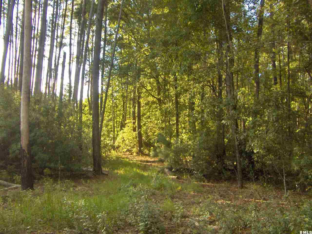 2501 Langfordville Road Ridgeland, SC 29936 - Photo 4 of 17 Additional Photo