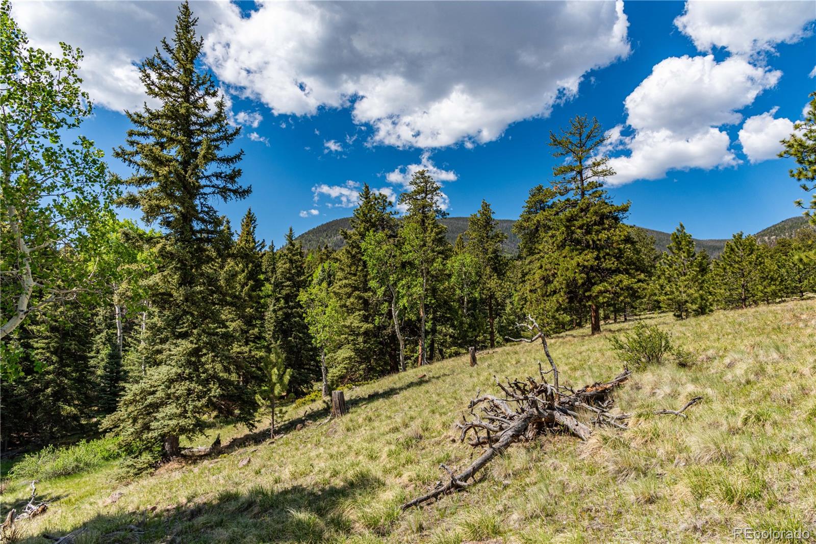 298 Steven Road Canon City, CO 81212 - Photo 14 of 35