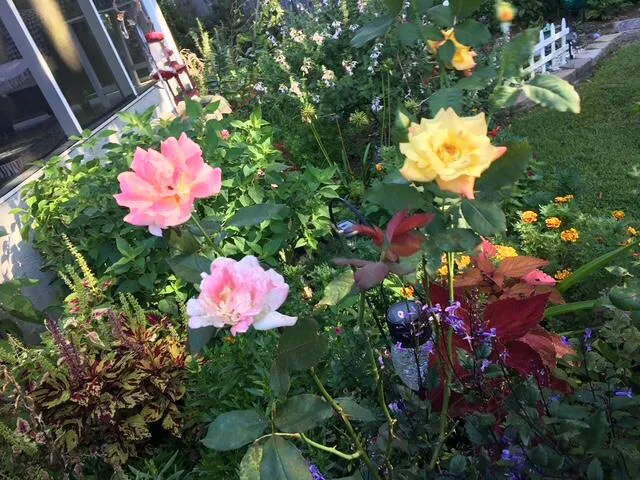 $364,900 | 5324 Copley Circle, Summerville, SC 29485