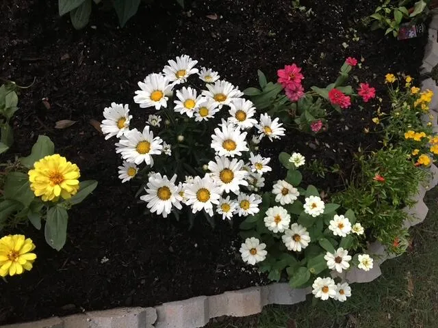 $364,900 | 5324 Copley Circle, Summerville, SC 29485