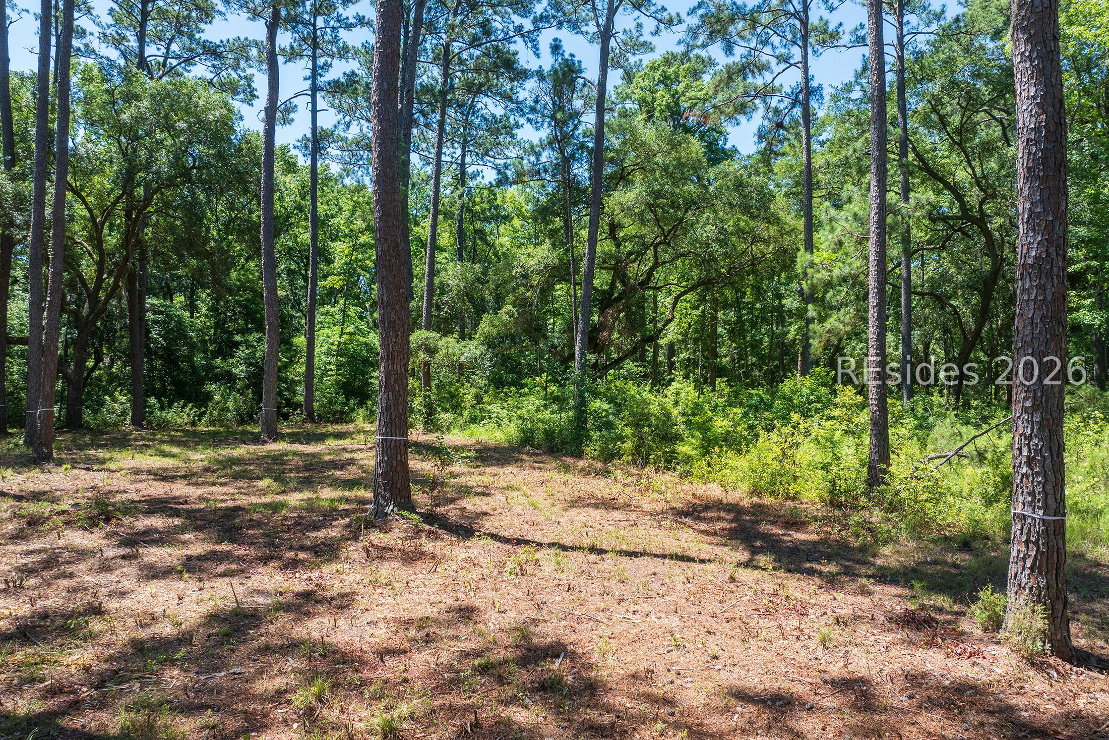 77 Lupine Road Bluffton, SC 29910 - Photo 16 of 28
