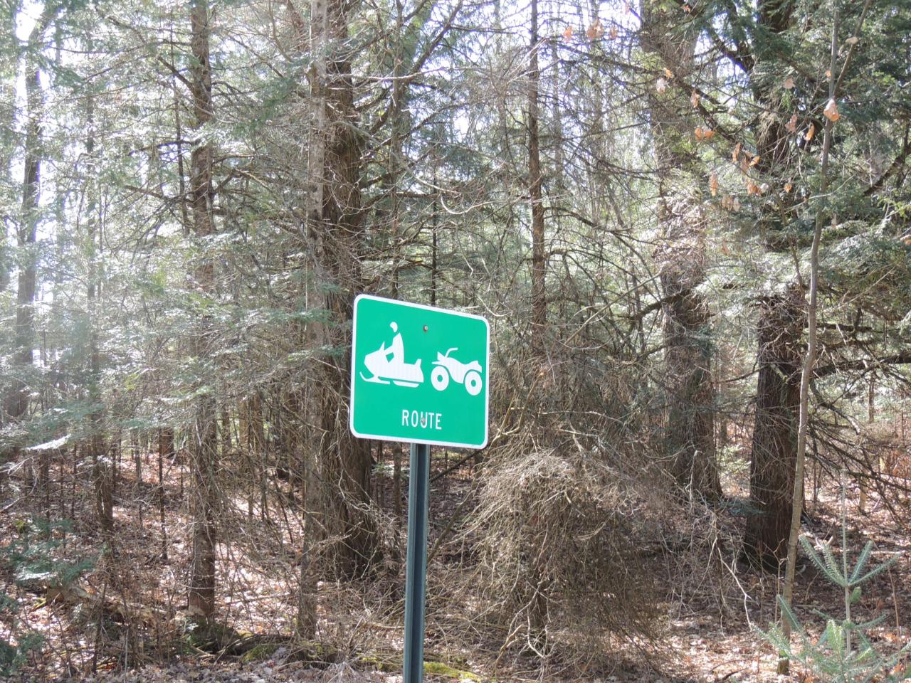 W11174 Bogus Road Deerbrook, WI 54424 - Photo 28 of 51 Gallery Image 28