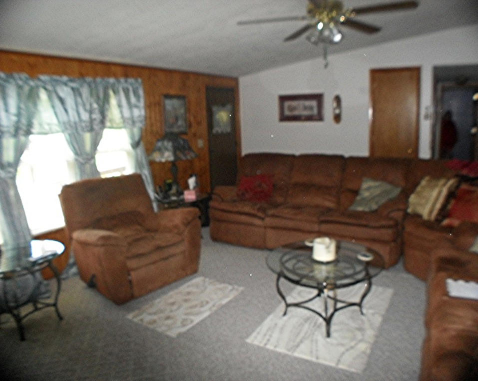 929 Macedonia Road Spring City, TN 37381 - Photo 12 of 28 livingroom1
