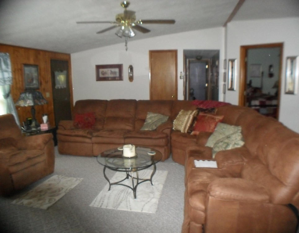 929 Macedonia Road Spring City, TN 37381 - Photo 13 of 28 livingroom2
