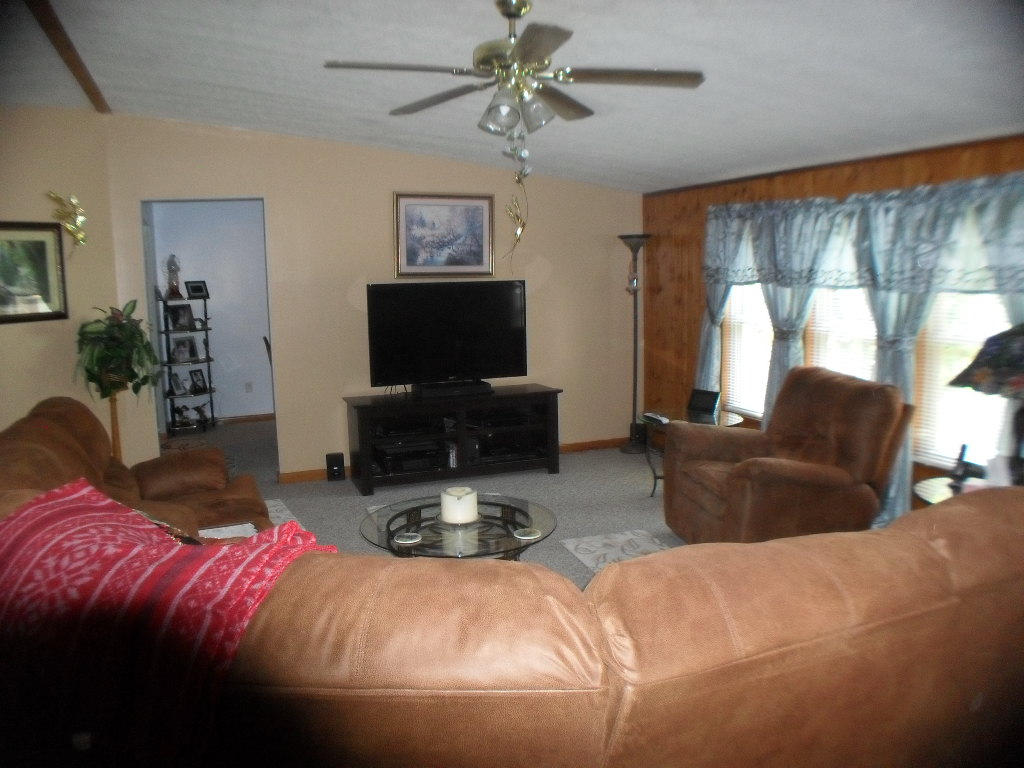 929 Macedonia Road Spring City, TN 37381 - Photo 14 of 28 livingroom3