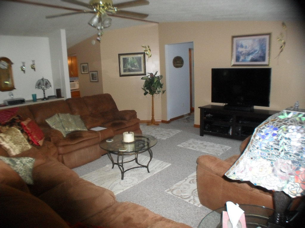 929 Macedonia Road Spring City, TN 37381 - Photo 15 of 28 livingroom4