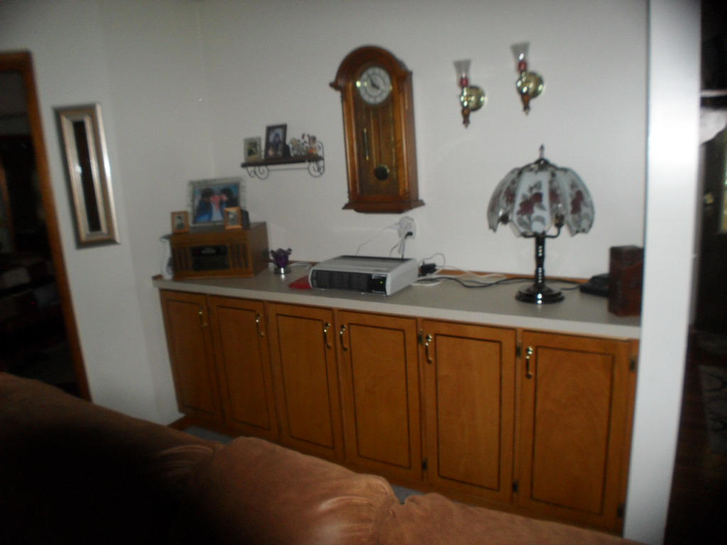 929 Macedonia Road Spring City, TN 37381 - Photo 16 of 28 buffet