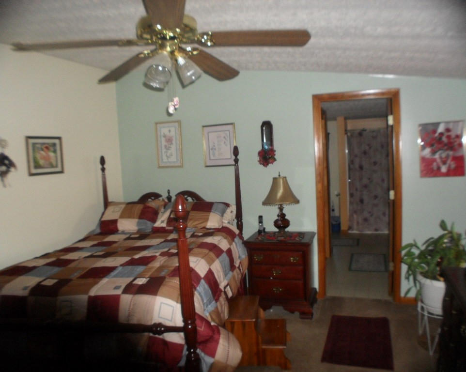 929 Macedonia Road Spring City, TN 37381 - Photo 19 of 28 masterbr2
