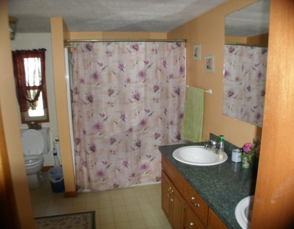 929 Macedonia Road Spring City, TN 37381 - Photo 20 of 28 masterbath