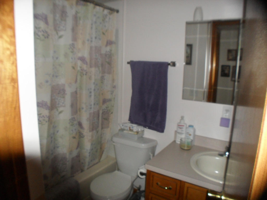 929 Macedonia Road Spring City, TN 37381 - Photo 24 of 28 mainbath