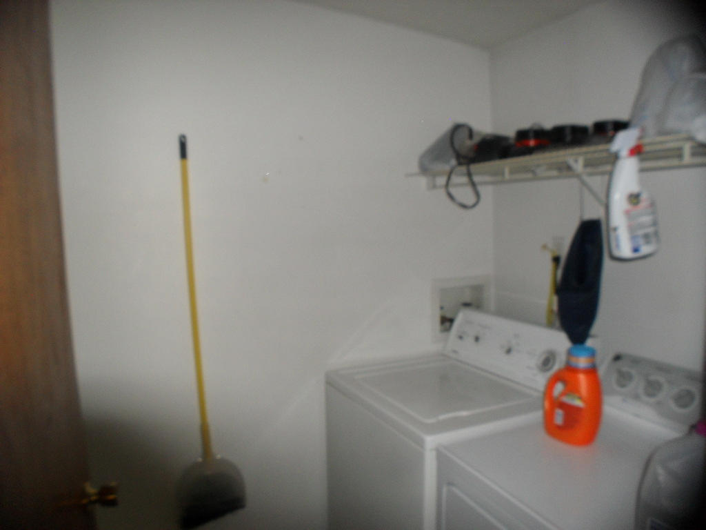 929 Macedonia Road Spring City, TN 37381 - Photo 25 of 28 laundry1