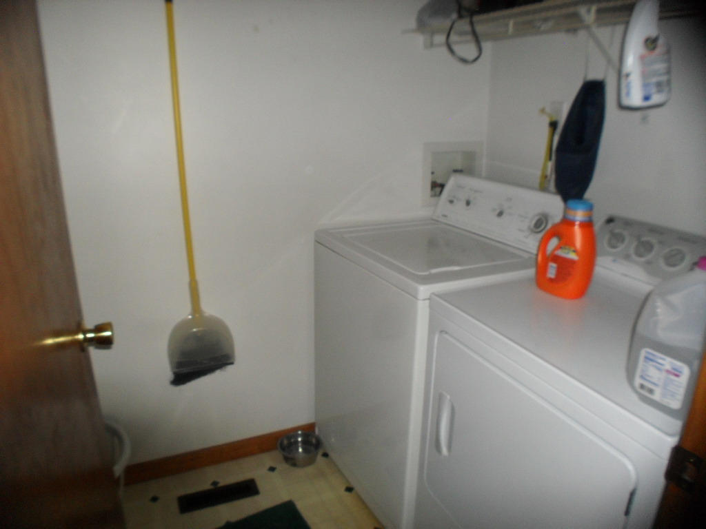 929 Macedonia Road Spring City, TN 37381 - Photo 26 of 28 laundry2