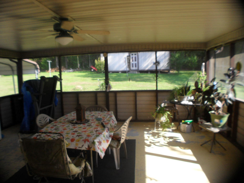 929 Macedonia Road Spring City, TN 37381 - Photo 6 of 28 screenporch2
