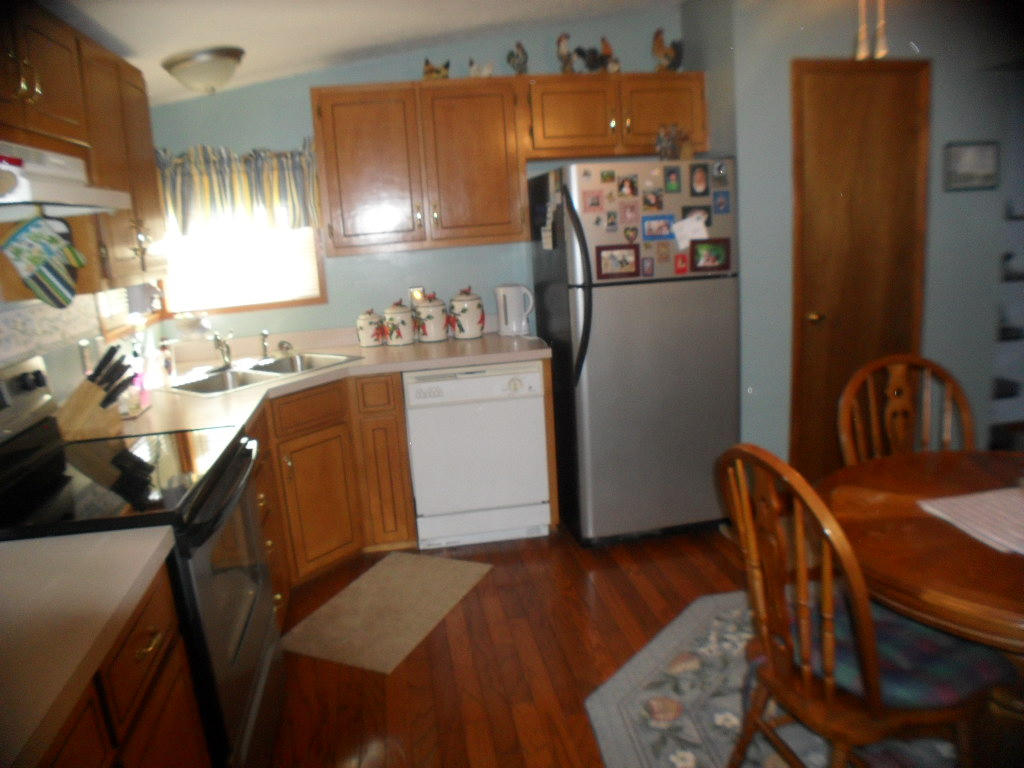 929 Macedonia Road Spring City, TN 37381 - Photo 9 of 28 kitchen3