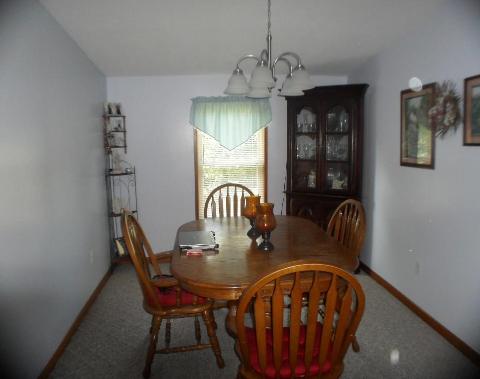 929 Macedonia Road Spring City, TN 37381 - Photo 10 of 28 diningroom1