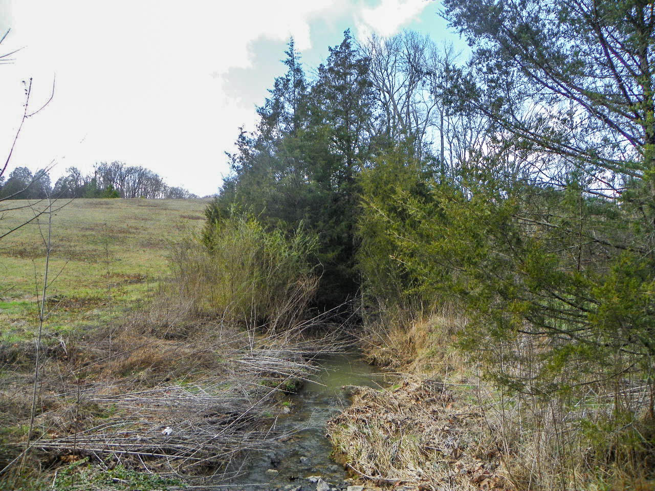 Tract 1 Mccarter Hollow Road Sevierville, TN 37862 - Photo 3 of 36 102_7999