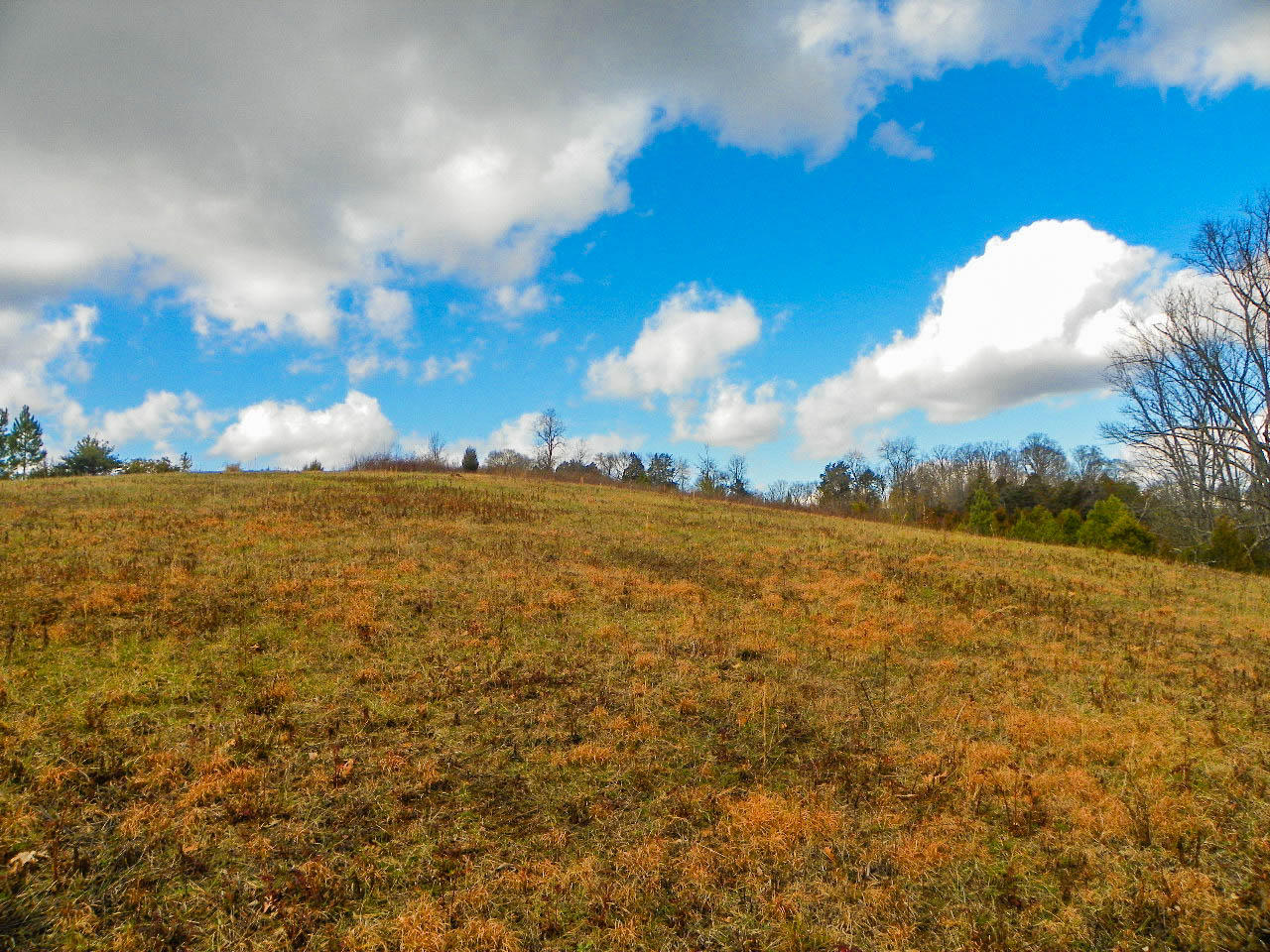 Tract 1 Mccarter Hollow Road Sevierville, TN 37862 - Photo 22 of 36 102_7972