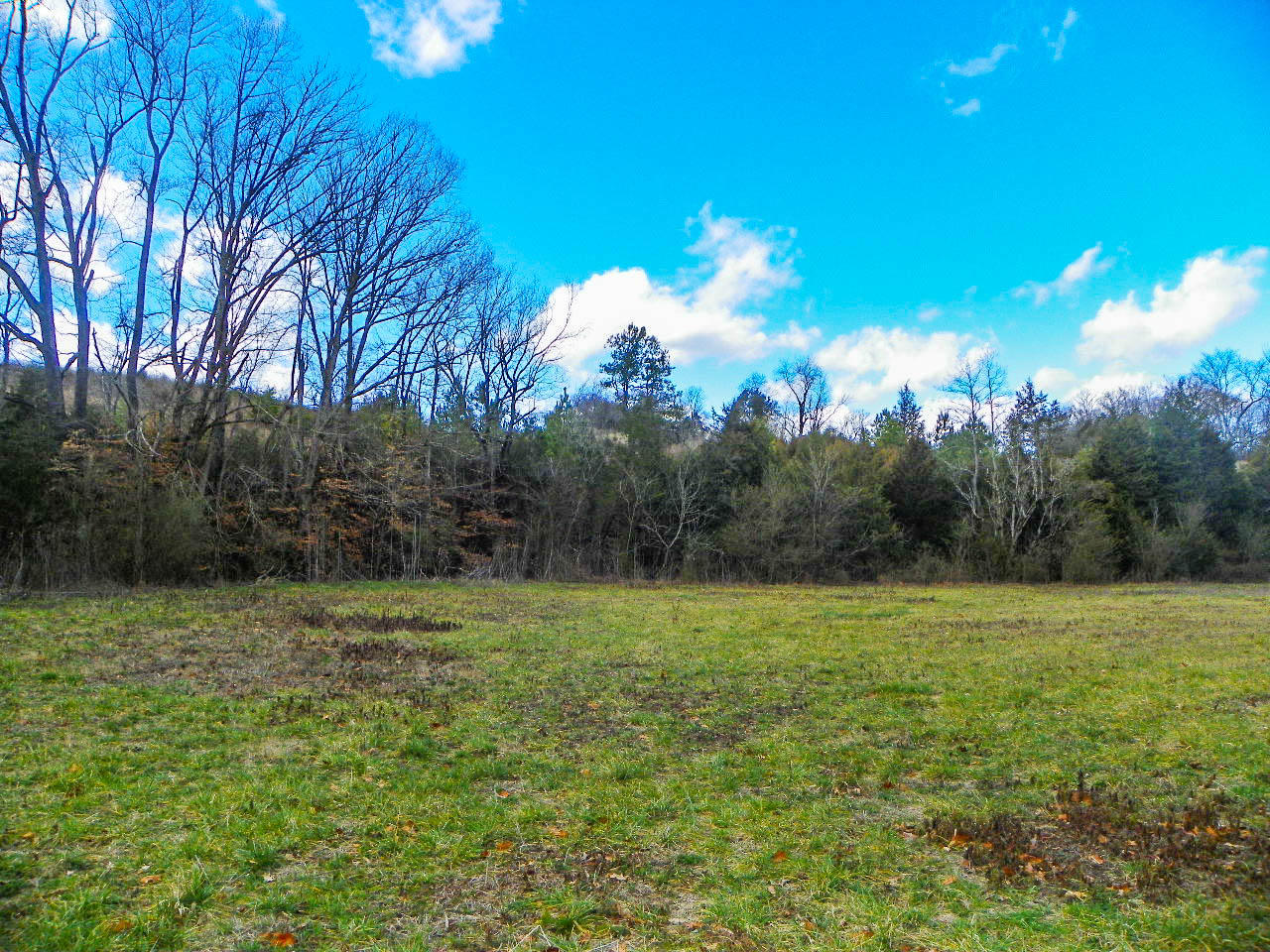 Tract 1 Mccarter Hollow Road Sevierville, TN 37862 - Photo 4 of 36 102_8002