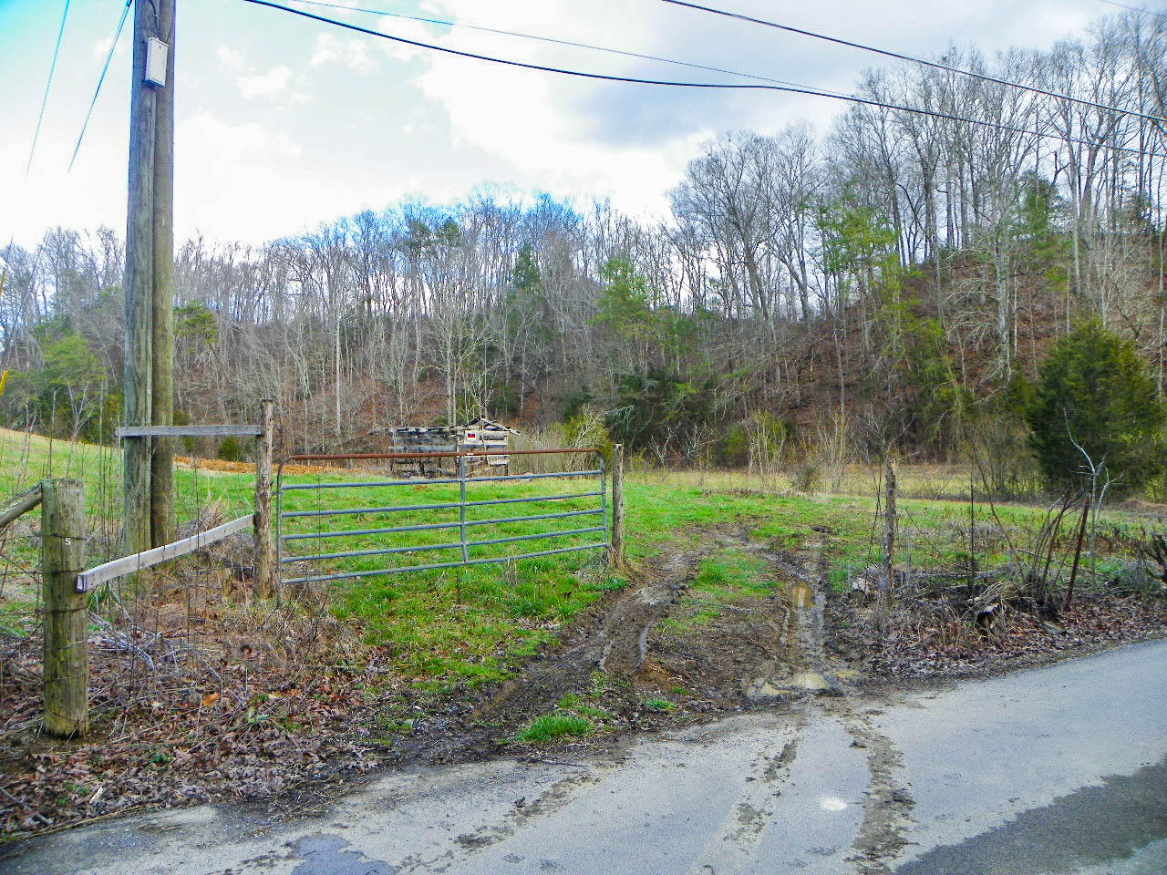 Tract 1 Mccarter Hollow Road Sevierville, TN 37862 - Photo 8 of 36 102_8010-Edit