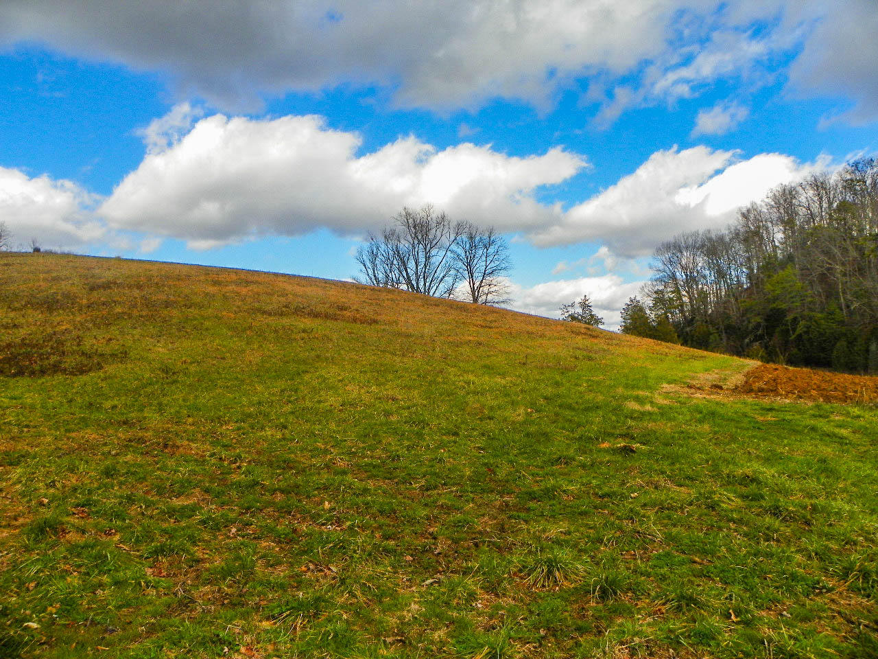 Tract 1 Mccarter Hollow Road Sevierville, TN 37862 - Photo 9 of 36 102_7960