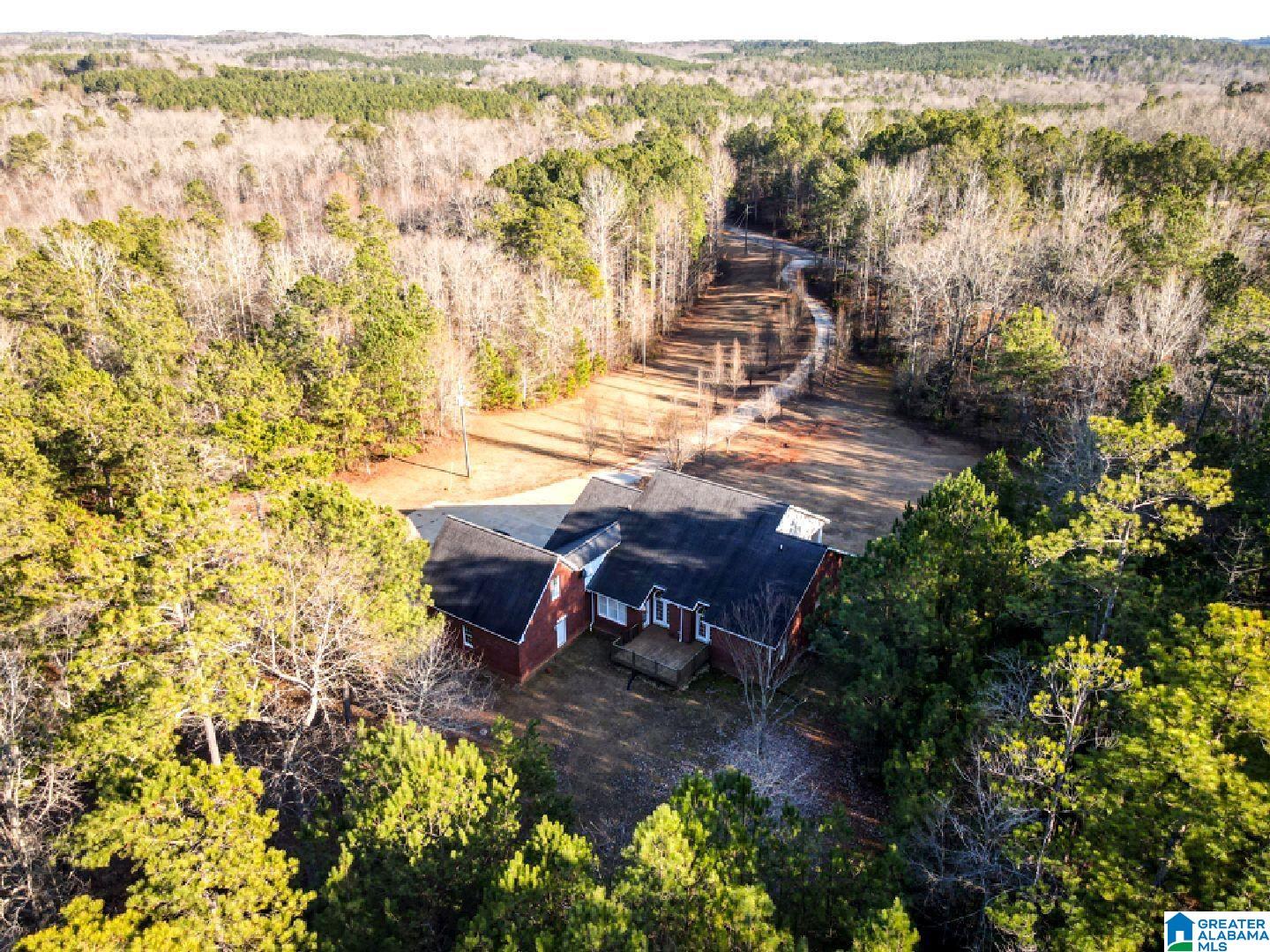 4056 Owens Road Ashland, AL 36251 - Photo 54 of 57