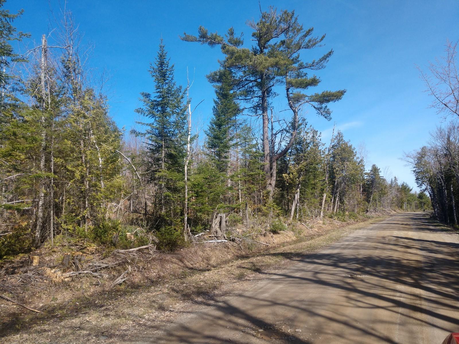 Off Osgood Road Carroll Plt, ME 04487 - Photo 2 of 5 IMG_20190509_094353680