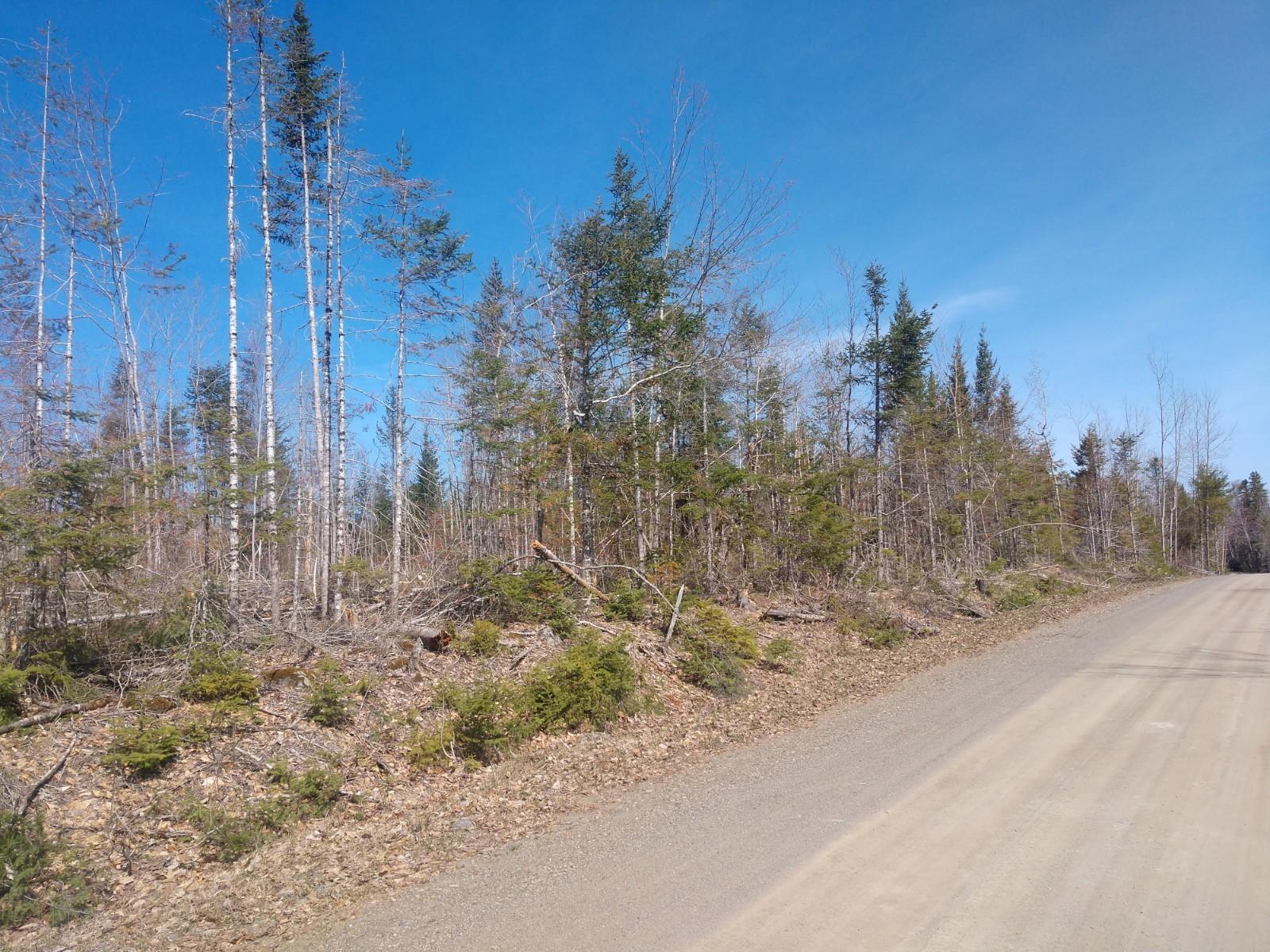 Off Osgood Road Carroll Plt, ME 04487 - Photo 3 of 5 IMG_20190509_094505770