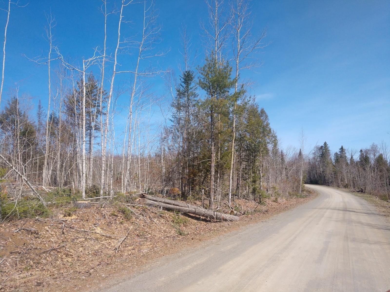 Off Osgood Road Carroll Plt, ME 04487 - Photo 5 of 5 IMG_20190509_094527629