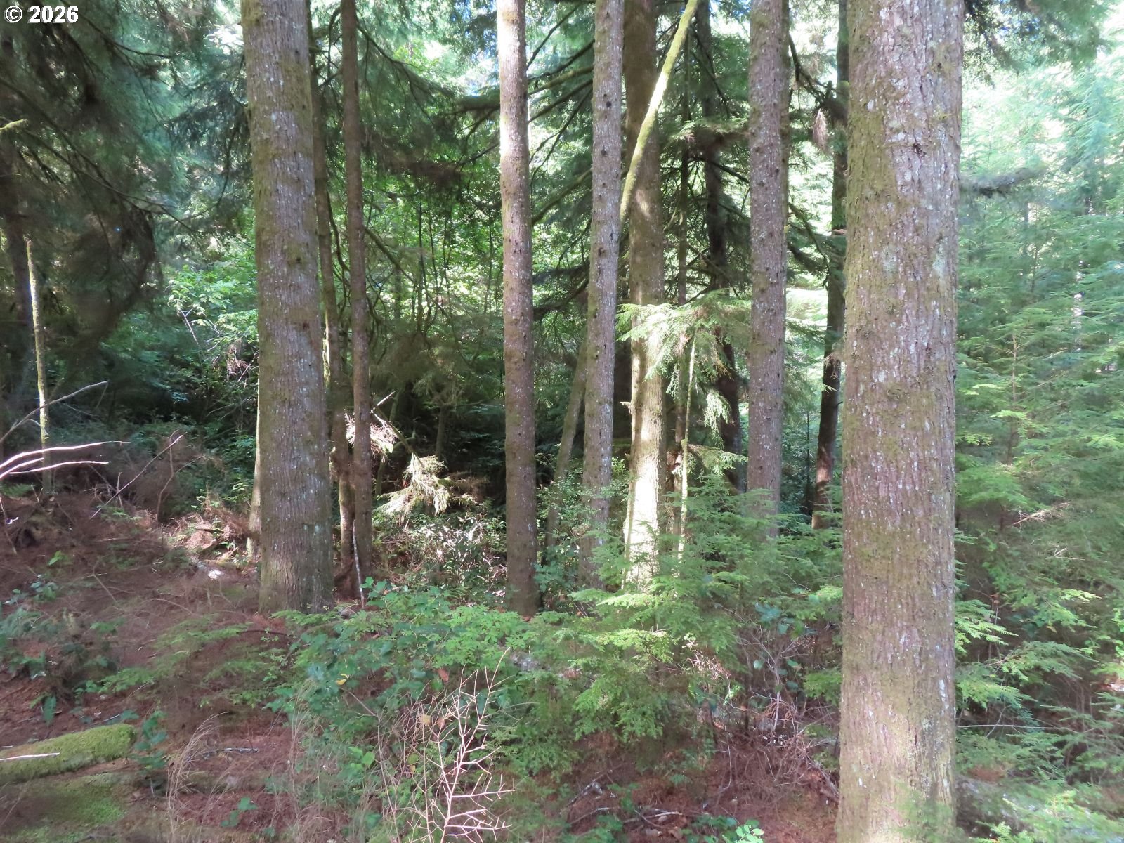101 State Route South Bend, WA 98586 - Photo 14 of 30 Gallery Image 14