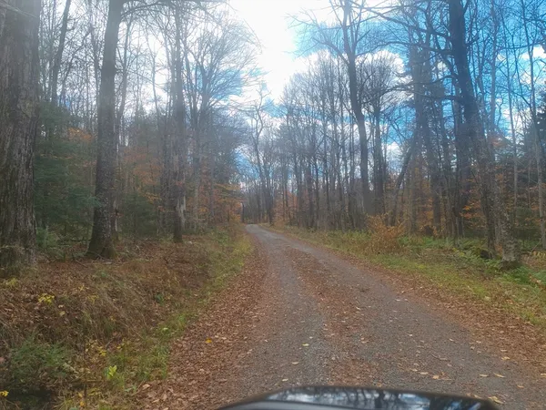 $50,000 | Lot 19 Pierce Road, Windsor, MA 01270