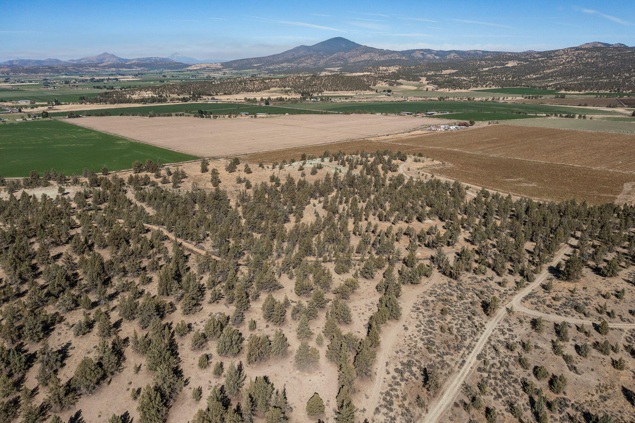 5598 North Mckay Road Prineville, OR 97754 - Photo 18 of 81 IMG_5860