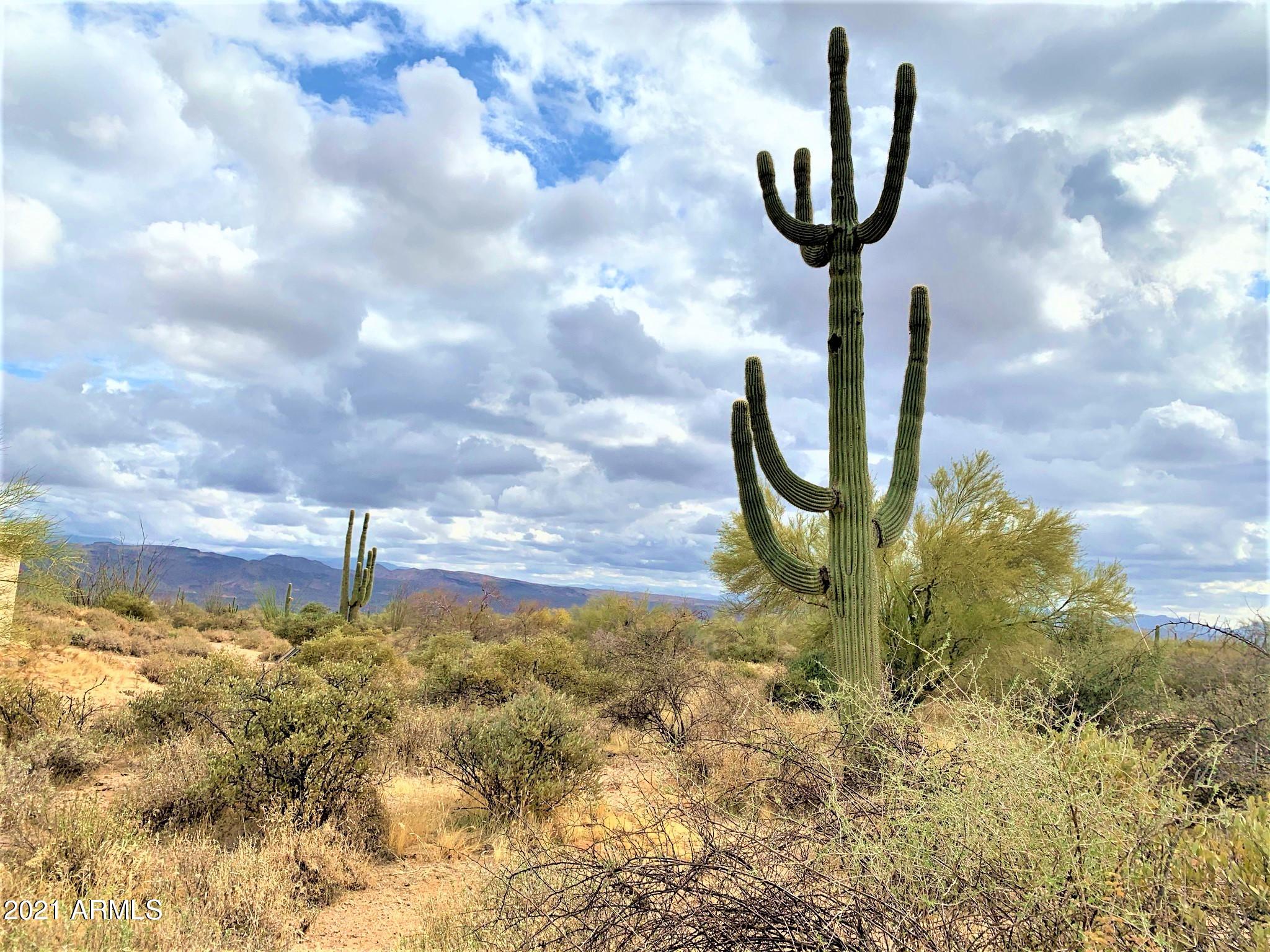 17100 East Lone Mountain Road Rio Verde, AZ 85263 - Photo 11 of 17 Views