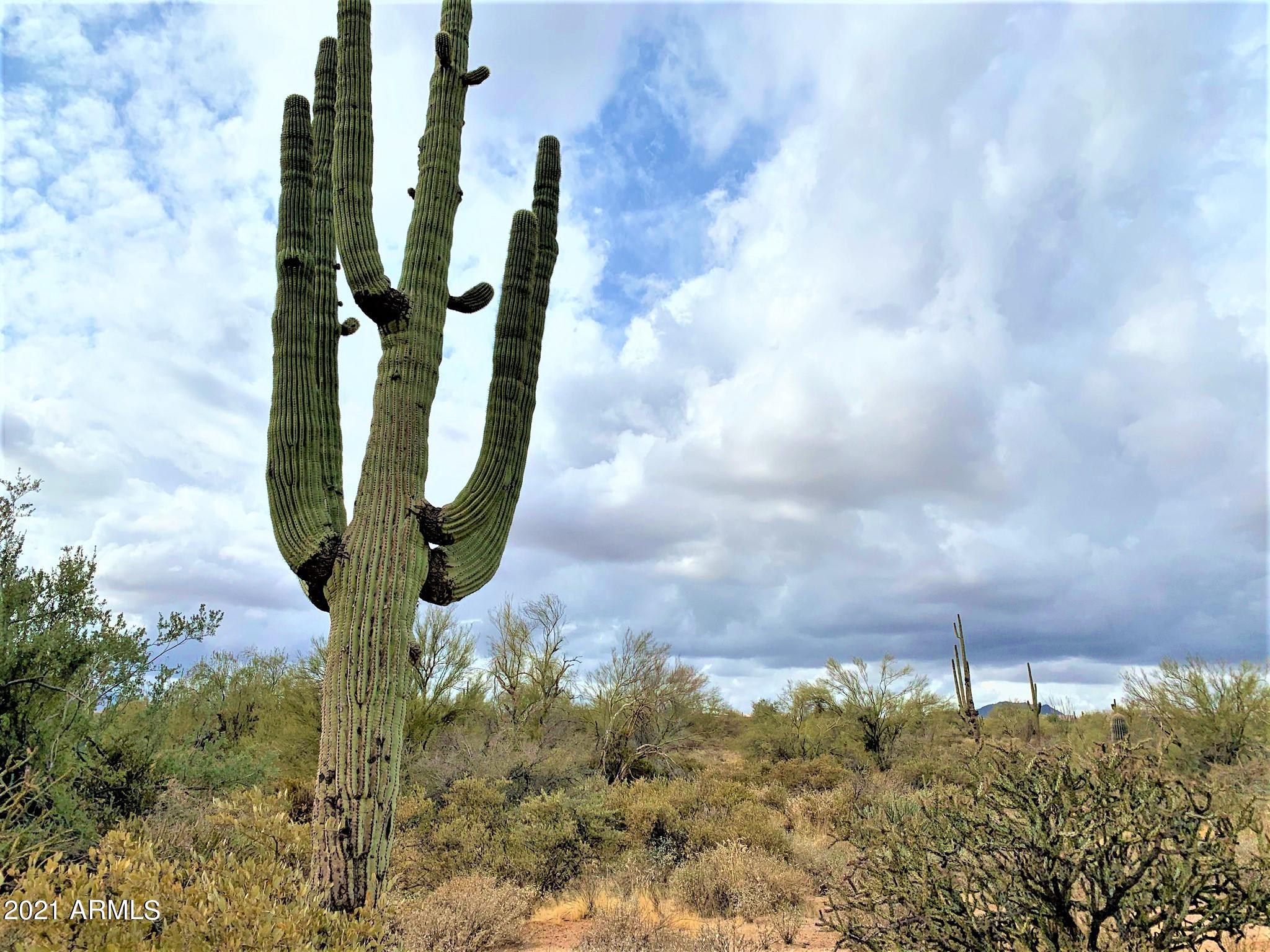 17100 East Lone Mountain Road Rio Verde, AZ 85263 - Photo 15 of 17 Natural Landscape