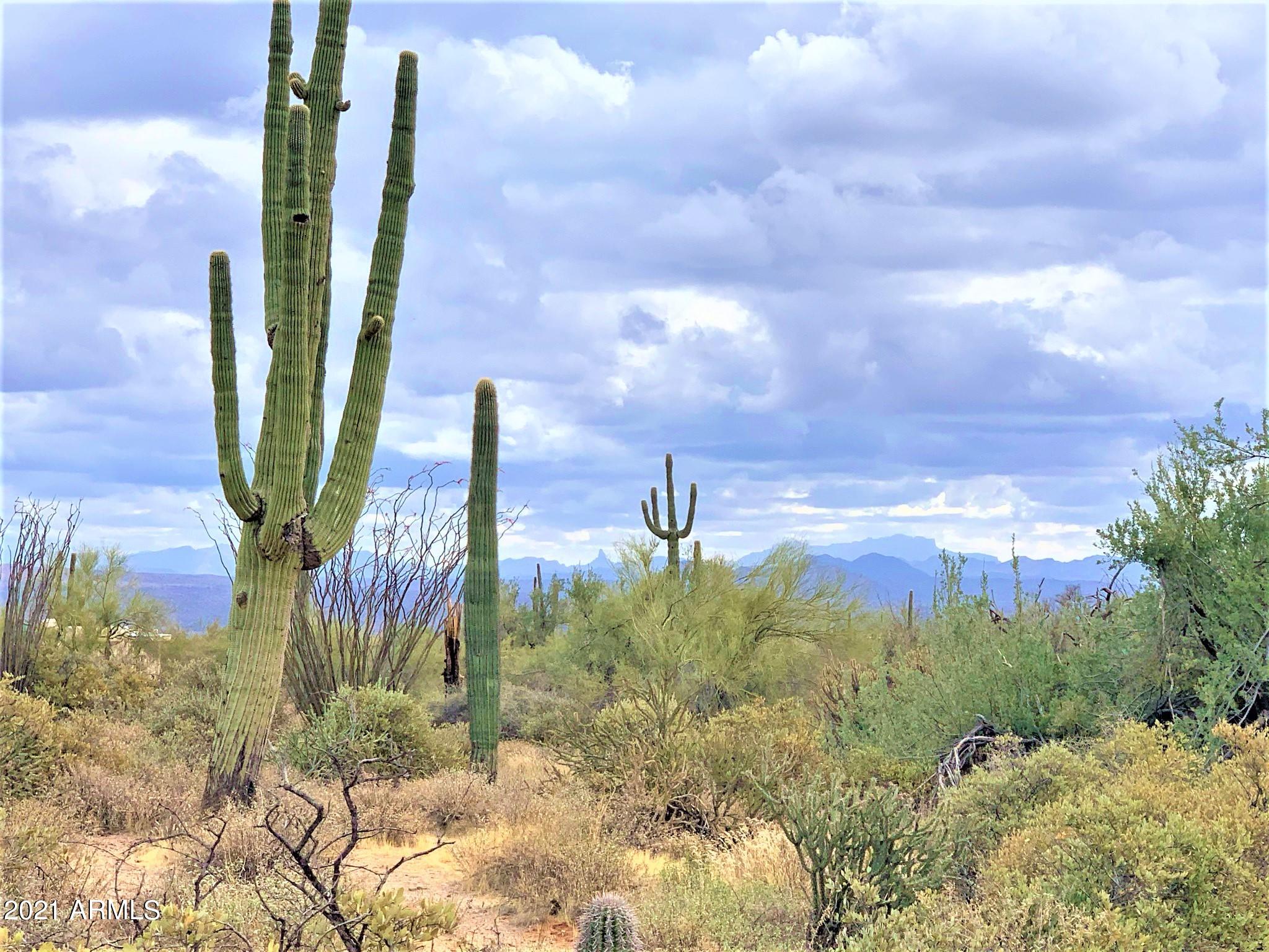 17100 East Lone Mountain Road Rio Verde, AZ 85263 - Photo 17 of 17 Beautiful Views