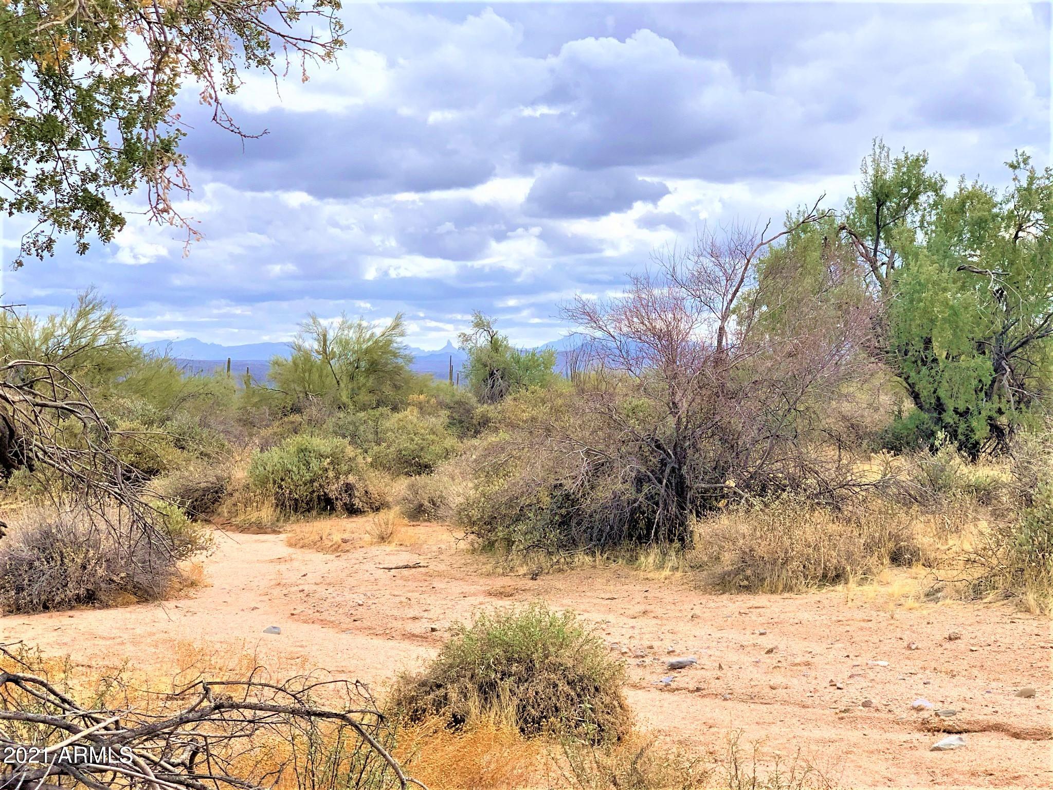 17100 East Lone Mountain Road Rio Verde, AZ 85263 - Photo 5 of 17 Clean Air
