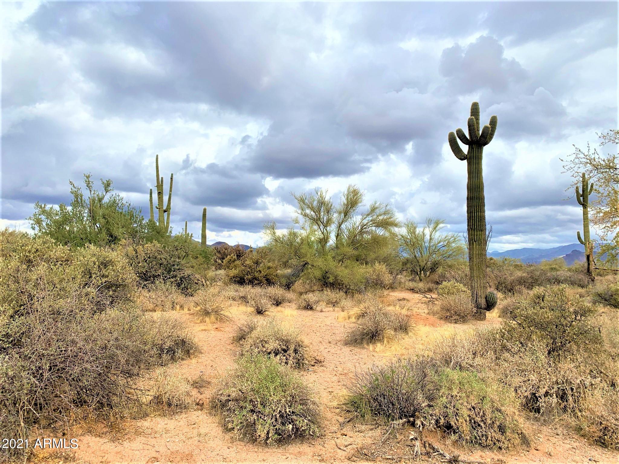 17100 East Lone Mountain Road Rio Verde, AZ 85263 - Photo 8 of 17 Lots of Saguaros