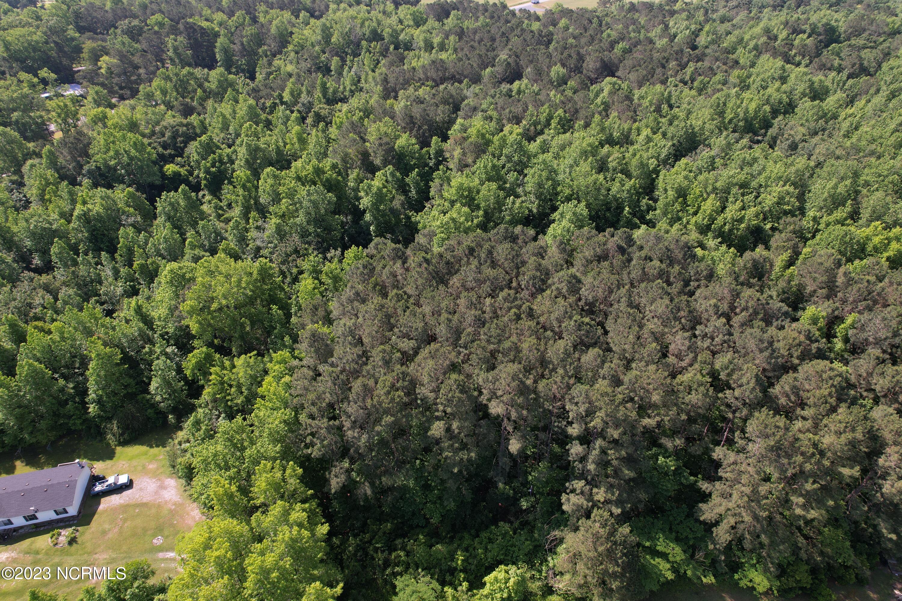 0 Pleasant Hope Road Fairmont, NC 28340 - Photo 5 of 13 Image 3