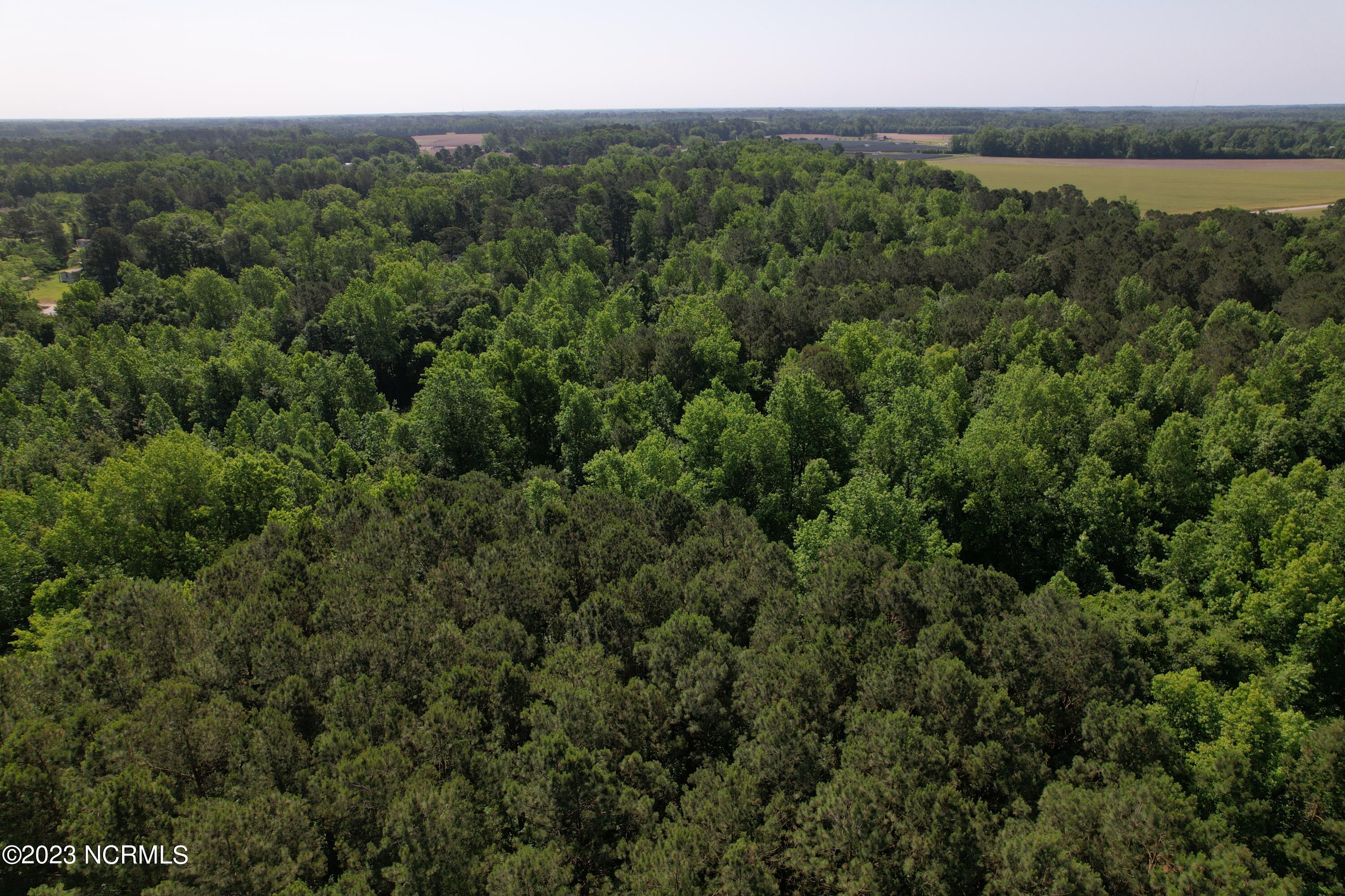 0 Pleasant Hope Road Fairmont, NC 28340 - Photo 7 of 13 Image 5