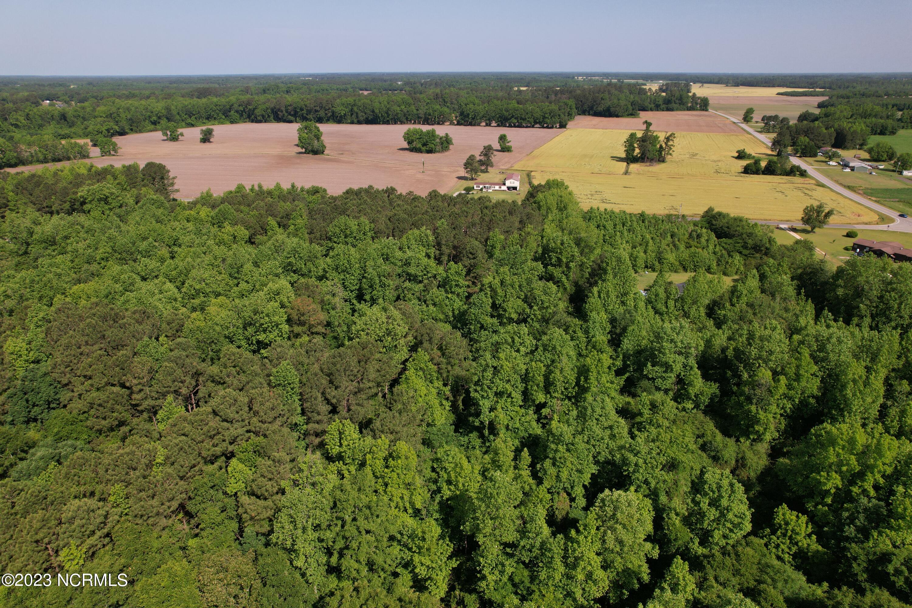 0 Pleasant Hope Road Fairmont, NC 28340 - Photo 9 of 13 Image 7