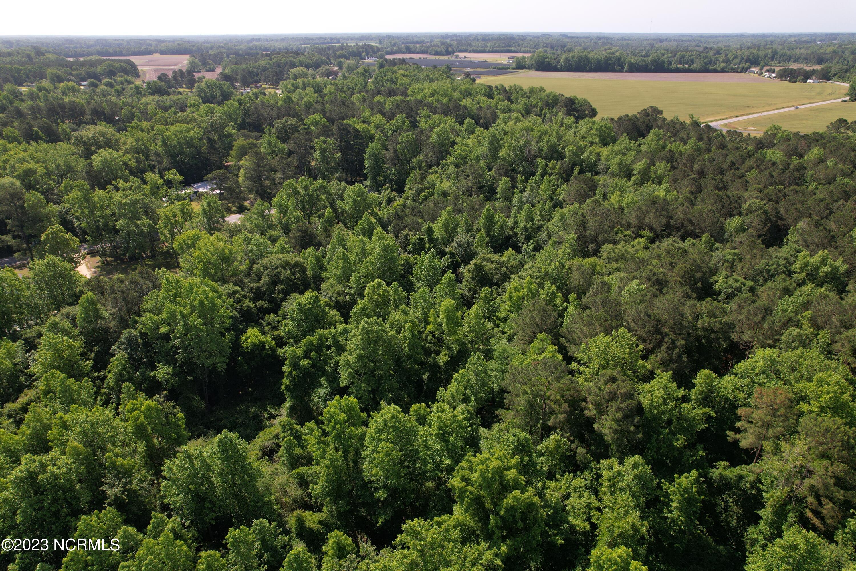 0 Pleasant Hope Road Fairmont, NC 28340 - Photo 10 of 13 Image 8