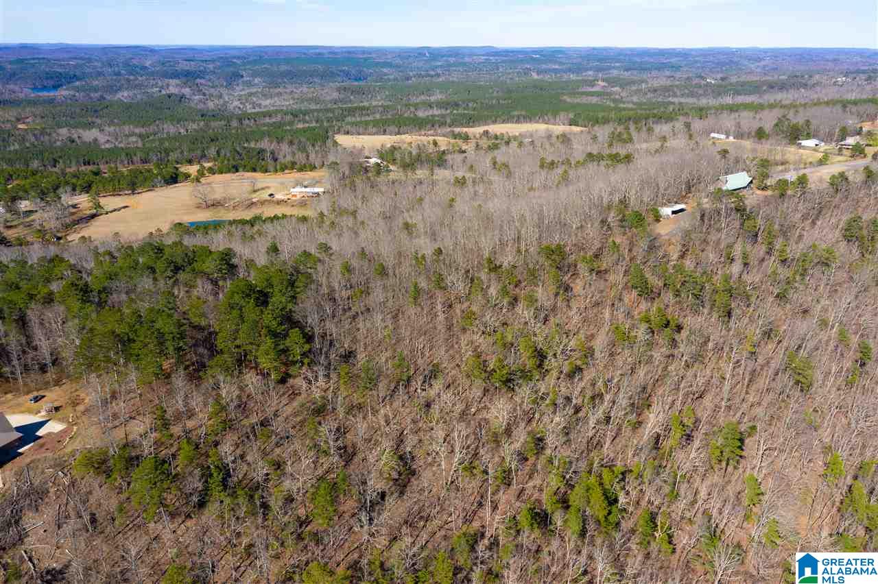 0 Drake Drive Springville, AL 35146 - Photo 2 of 23