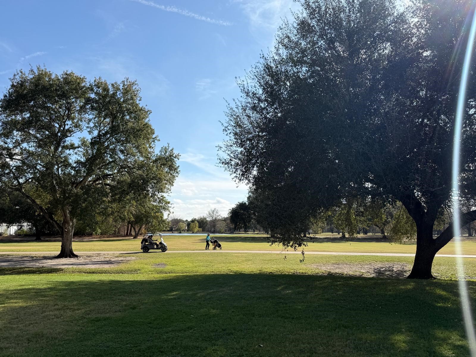 8287 Sands Point Drive, Unit 128 Houston, TX 77036 - Photo 30 of 30 a view of a house with a yard